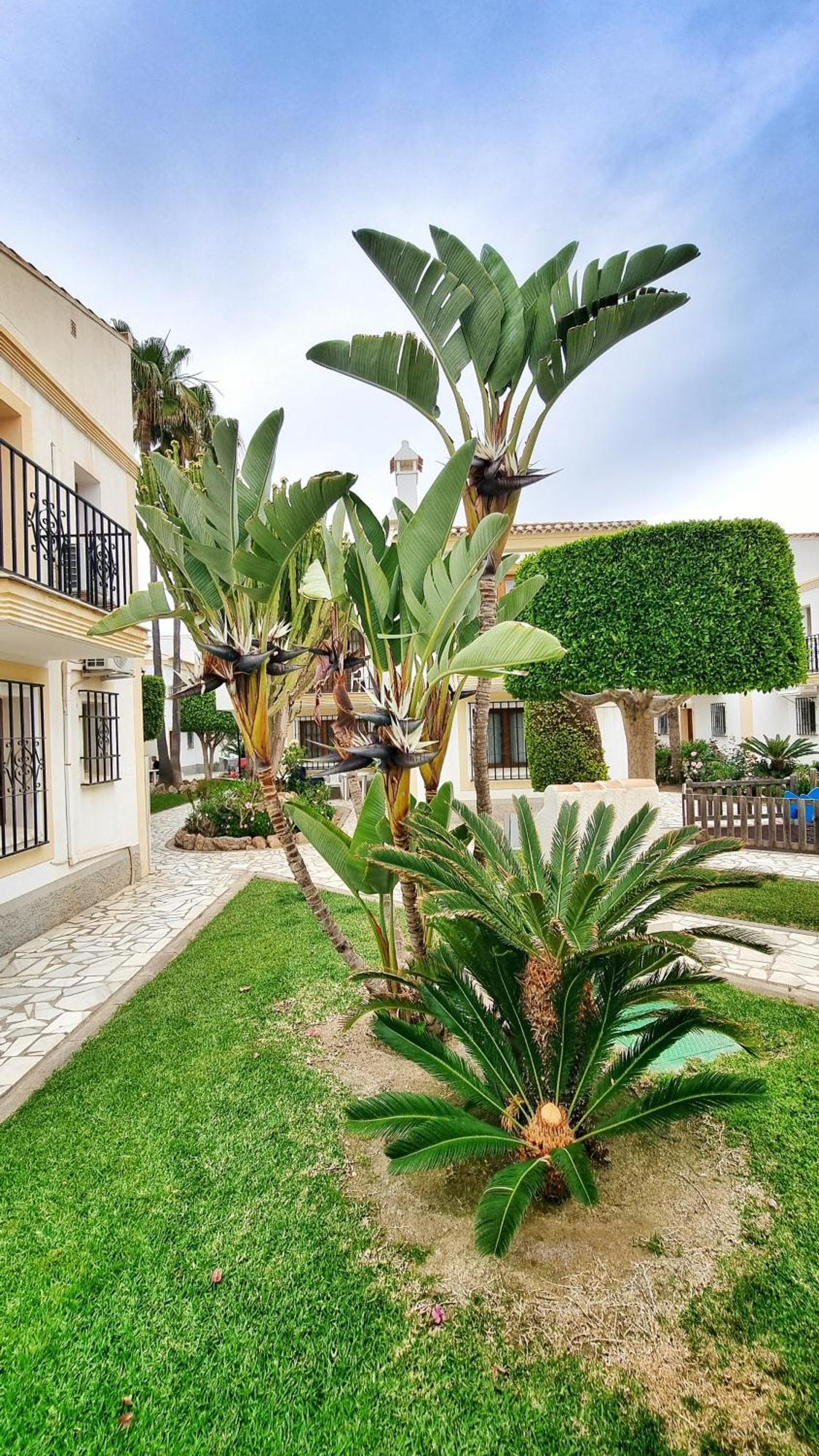 Apartamento Sol Y Mar Playas de Vera Exterior photo